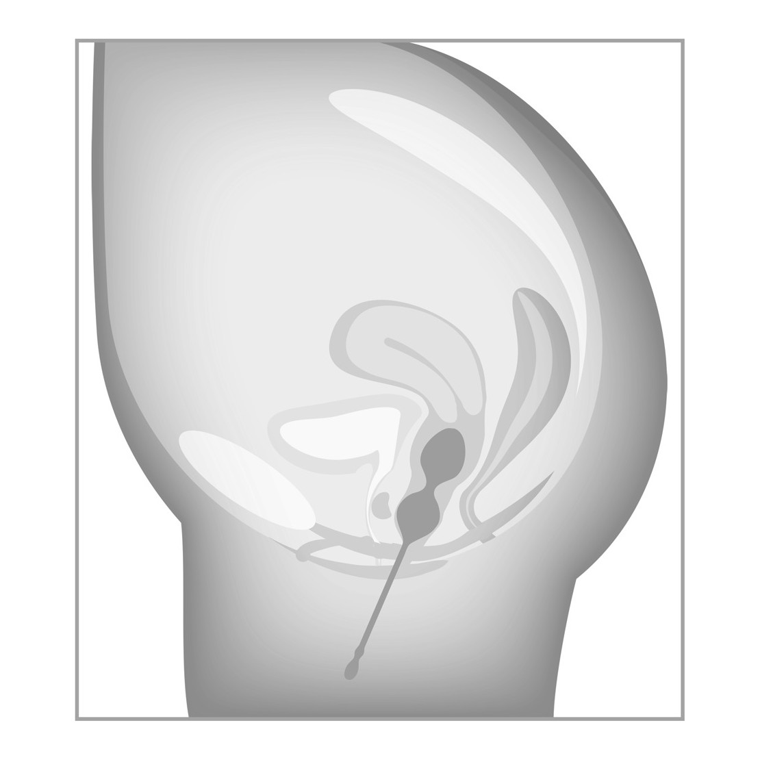 SET DI 3 PALLINE VAGINALI CON PESI E MISURE...