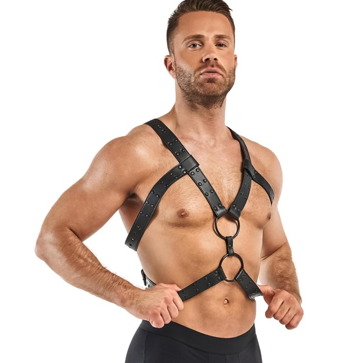 HARNESS