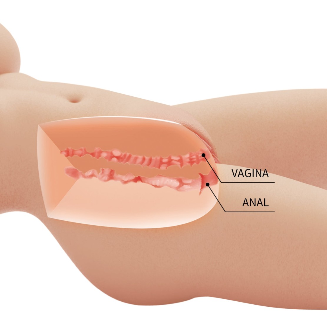 MASTURBATORE REALISTICO BUSTO DI DONNA CON...
