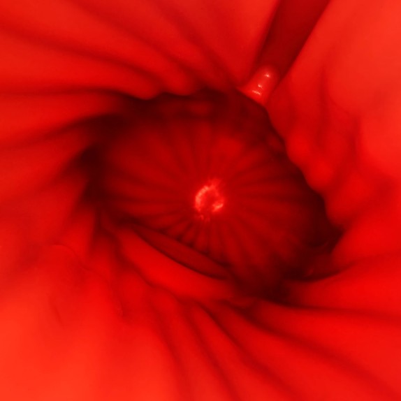 copy of MASTURBATORE PER UOMO F1S V2