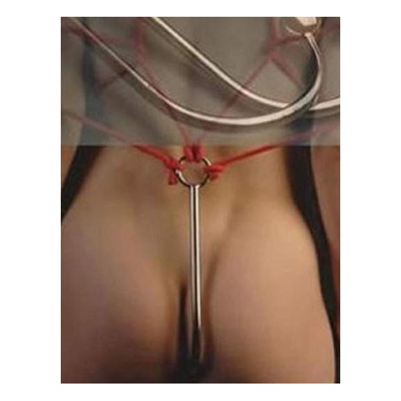 UNCINO ANALE IN ACCIAIO SEX TOY A DUE PALLINE