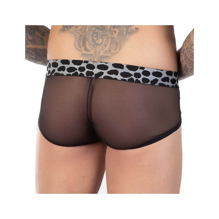 BOXER EROS VENEZIANI 2