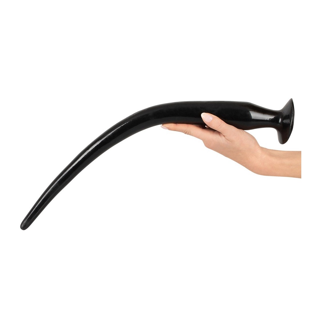 SET 3 SPINE ANALI FLESSIBILI SEX TOYS CON VENTOSA