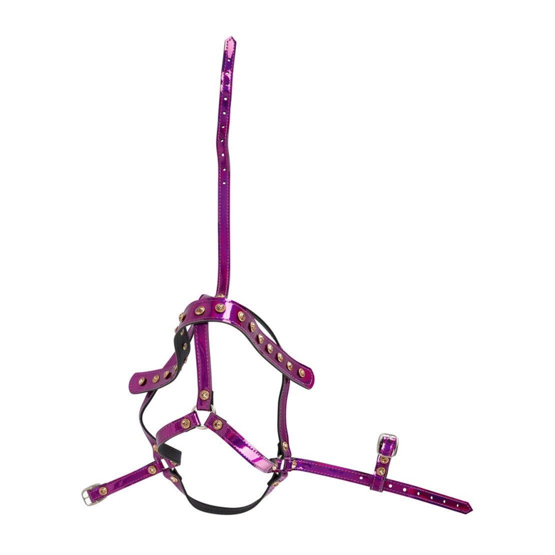 copy of HARNESS REGOLABILE DA TESTA IRIDESCENTE...