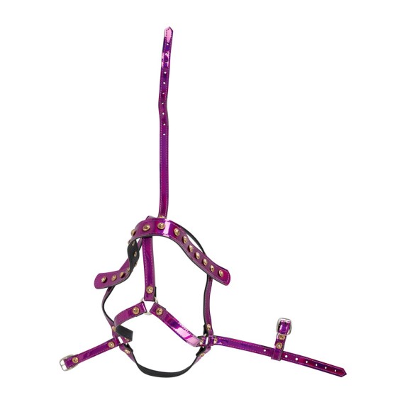 COSTRITTIVO HARNESS REGOLABILE DA TESTA IRIDESCENTE CON STRASS BAD KITTY