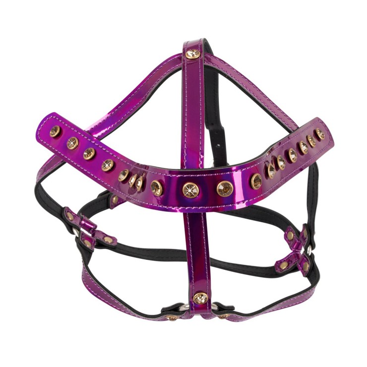 copy of HARNESS REGOLABILE DA TESTA IRIDESCENTE CON... 2