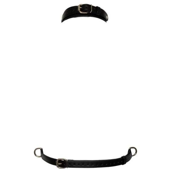 HARNESS SEXY REGGISENO BAD KITTY
