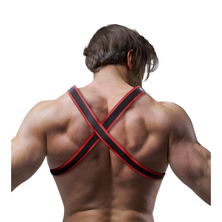 HARNESS SEXY PER UOMO 2