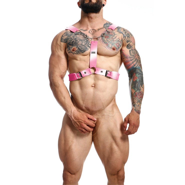 HARNESS 2