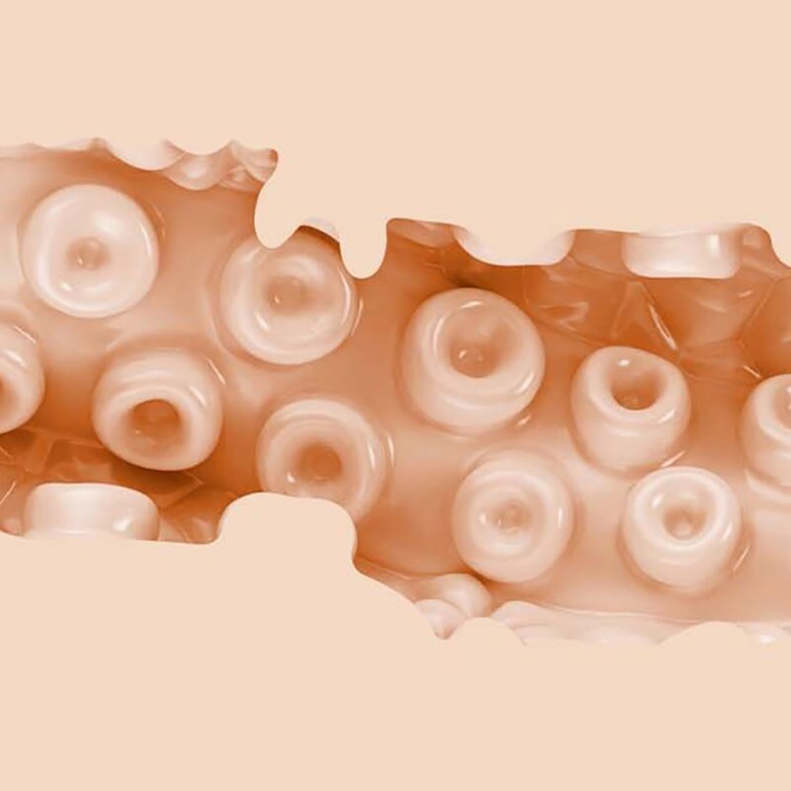 SASHA NAKAMOTO FANTASY FLESHLIGHT MASTURBATORE...