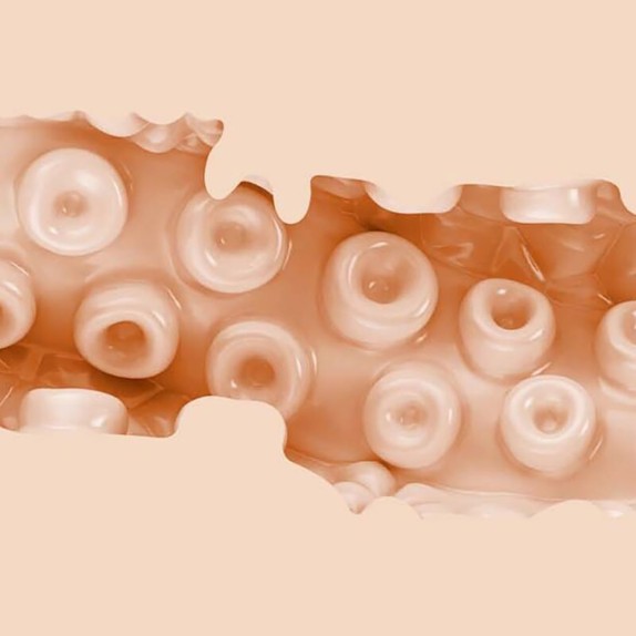 SASHA NAKAMOTO FANTASY FLESHLIGHT MASTURBATORE A FORMA DI VAGINA