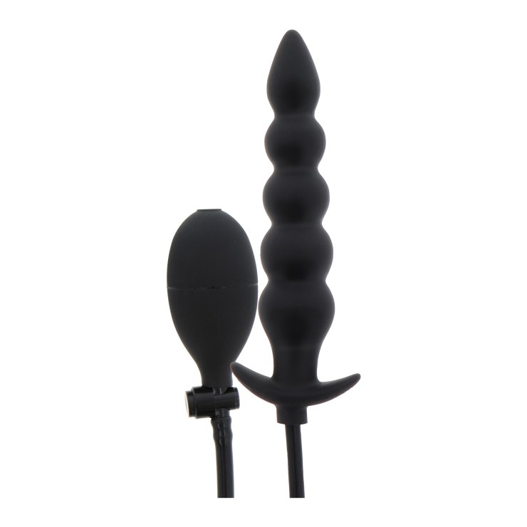 copy of PLUG ANALE