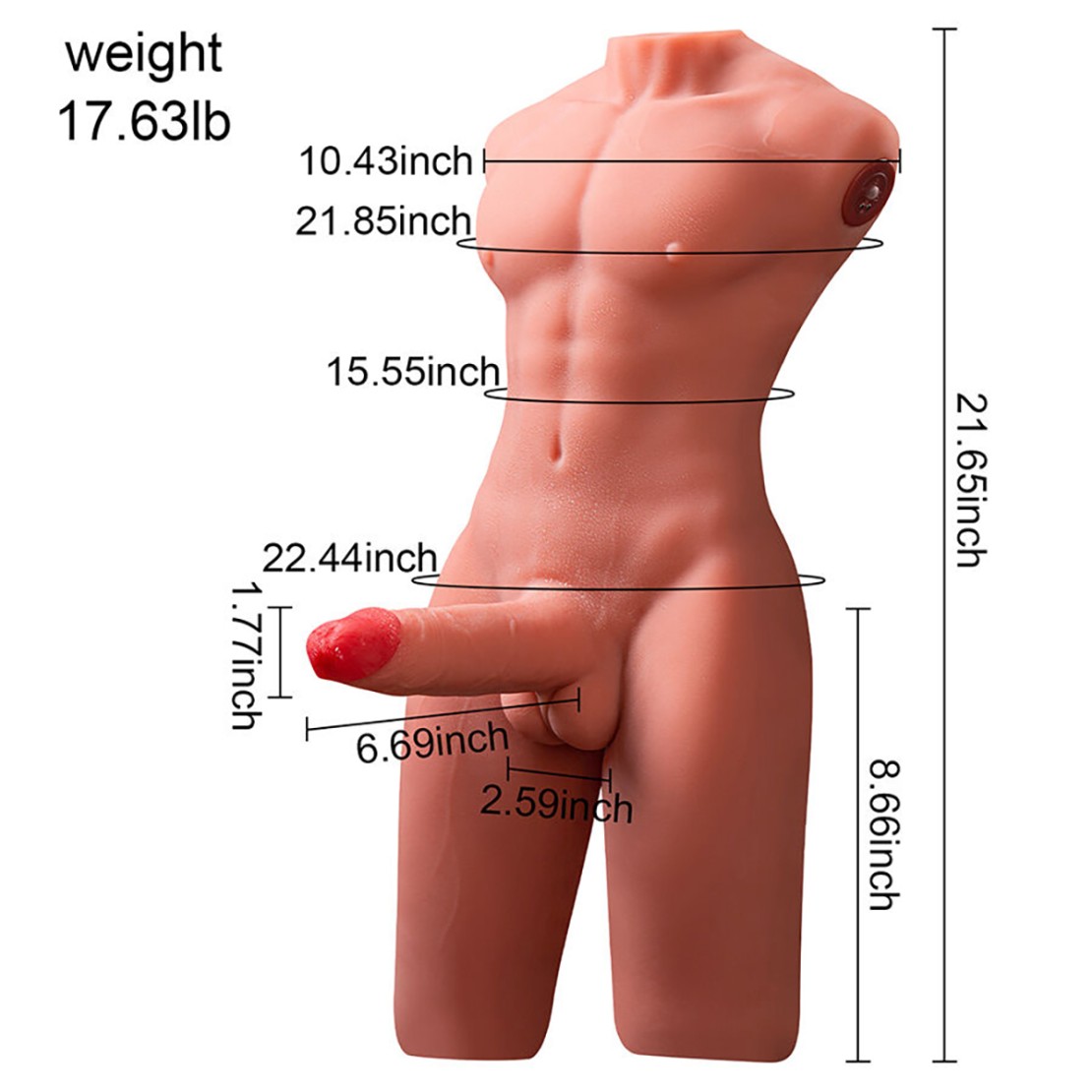 MEZZO BUSTO REALISTICO DI UOMO CON PENE A...