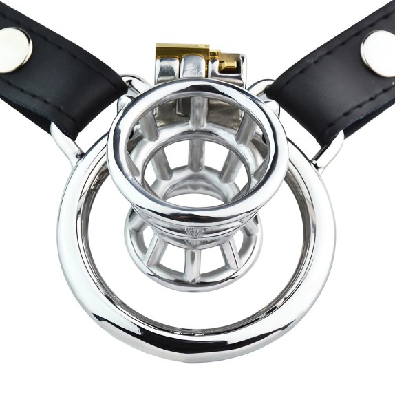 CINTURA