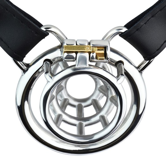 CINTURA
