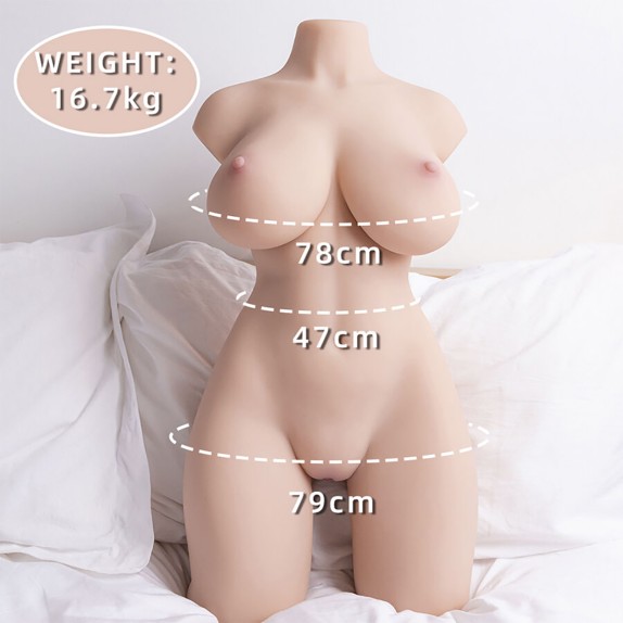 TIDY TORSO FEMMINILE REALISTICO CON MOVIMENTO INTERNO SU E GIU' XISE